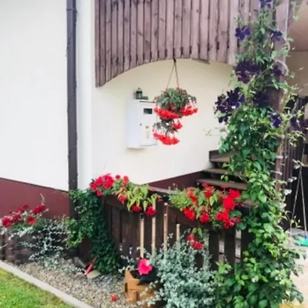 Agroturystyka Dor-Ali U Ali Zubracze Exterior foto